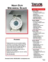 taylor-precision-thd32d-scale-portion-dial-specsheet-25071618rve3.pdf