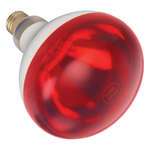 Winco EHL-BR, Heat Lamp Bulb